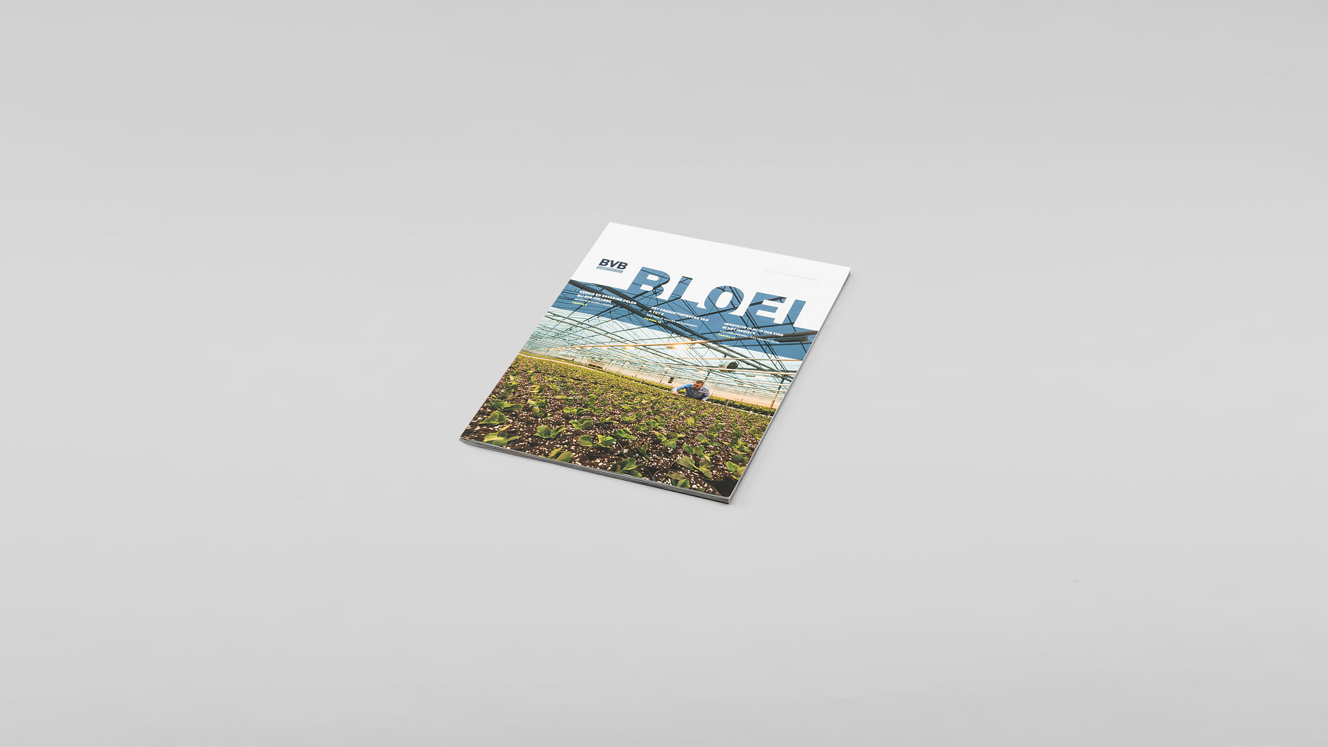 Design Bloom Magazine BVB Substrates